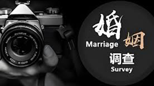 南阳婚姻调查
